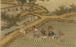 无心当皇帝的庄稼汉 怎成了中兴之主？