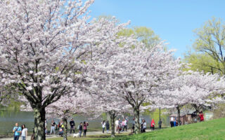 【元气99】一个小改变 让免疫功能迅速回升