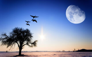 杨宁:北方暴雪南方高温 春行冬令夏令是凶兆