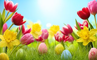 “春分”养生开运的宜忌 你要知道的九要点