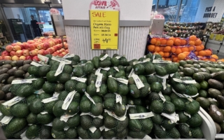 墨西哥牛油果将大涨?分析:若关税持续 农产品首当其冲