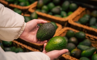 人均每年吃掉9磅 为何美国人喜欢吃牛油果