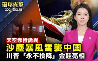 【环球直击】新年刚过 中国遭风雪沙尘暴袭击