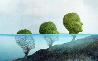 极简主义的自我提升：让生活更加美妙