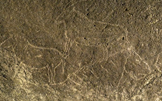 西班牙洞穴内发现20万年前岩石雕刻
