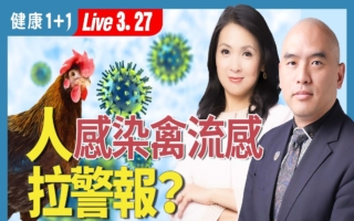 最新！北京疾控局启动10个禽流感检测点