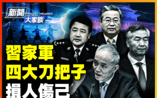 【新闻大家谈】习家军四大“刀把子”损人伤己