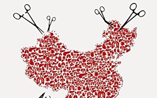 从死刑犯到良心犯 中共器官移植黑幕