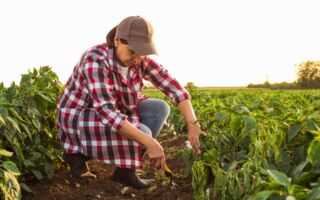 澳女10年来不用钱不买东西 她如何生活？