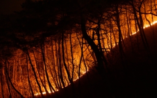 韩国史上最严重森林大火已增至27死