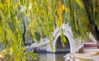 【古道人生】穷书生如何娶得家资数万的卖艺女子？