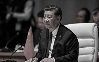 习近平随从在金砖峰会上被安保拦截 视频曝光