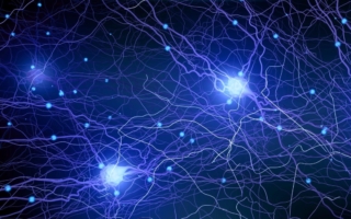 新研究：尽早开始生酮饮食或可减缓大脑老化