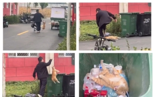 华北理工大学男生虐猫惹议 吊脖踩死扔垃圾桶