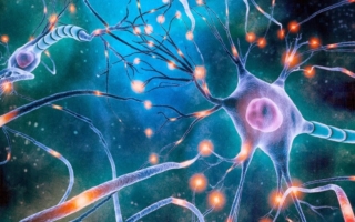 提高多巴胺 改善帕金森病患者的生活方式