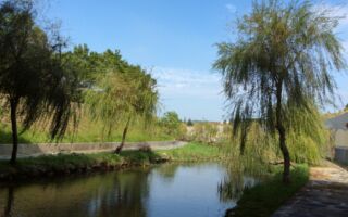 看商朝两都城遗迹  揭开三千年前中国园林主题样貌