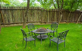 专家：在草坪上撒一物 可有效清除杂草