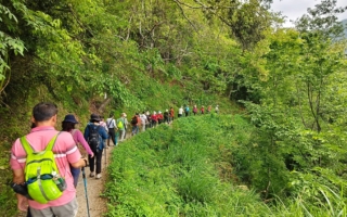 组图：司马库斯的春天  与巨木对话