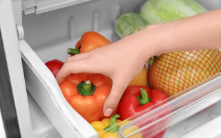 如何不让冰箱成为细菌的温床？ 专家这么说