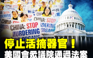 【纪元焦点】停止活摘法案通过 美中死结难解