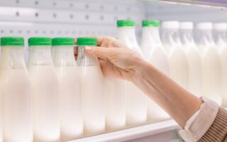 为什么你应该在花园里放牛奶瓶？