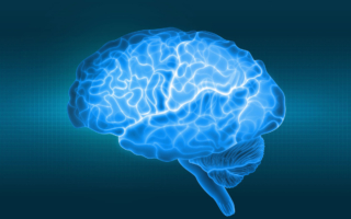 研究披露 这个习惯会让你的大脑“缩水”