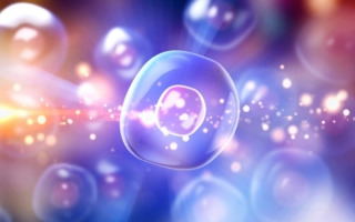 可治疗肥胖？声音对人体细胞的医学功效