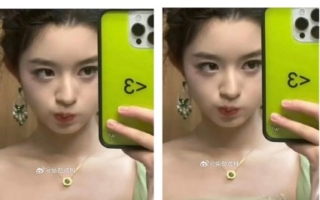 大陆天价耳环事件续发酵 或揭出背后贪官