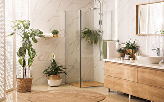 家中种四种漂亮植物不仅养眼 还可杀毒除霉