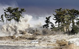 日本预估大地震酿1.8万亿美元损失 30万人死