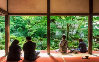 新研究：日式花园比西方花园更能令人放松
