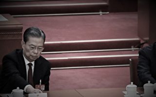 赵乐际因“病”缺席中共人大闭幕会 引揣测