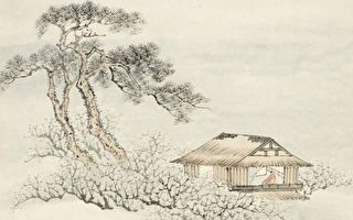 安乐窝原来是这意思 超乎你的想像！