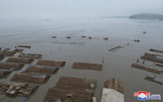 朝鲜逼迫学生每天收集石头 以建造防洪堤坝