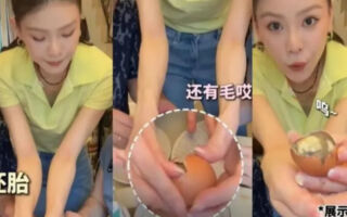 女星带“中国胚胎蛋”返台 违法遭罚3万台币