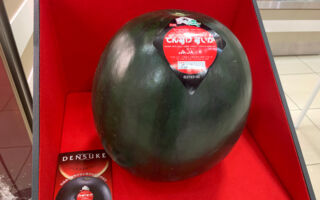 日本“黑皮西瓜”拍出史上第二高天价