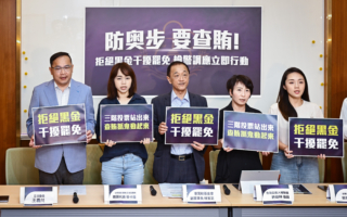 大罢免将进投票阶段 罢团、民团吁比照全台选举规格