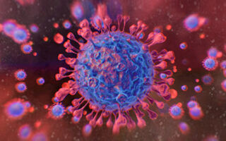 【九评征文】红朝末代的疯狂(下)