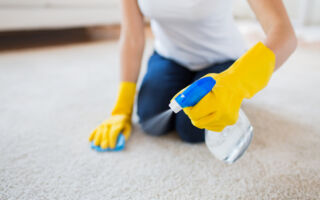 在地毯上喷洒这一物 可以防止灰尘黏住