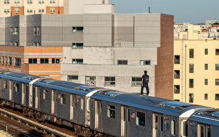 法官:TikTok、Meta需应诉“地铁冲浪”死亡案