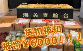 7月起大陆入境检查升级 知情人：有罚款指标