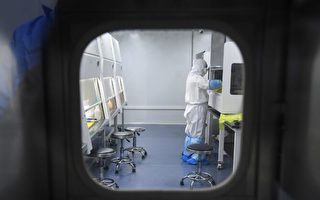 云南蝙蝠体内发现与人类致命疾病相关病毒