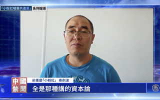 四十难立 苦难和不公促“粉红”觉醒