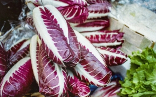 苦味可能对改善消化和血糖至关重要