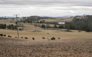 川普拟禁中共买地 分析：或引发全球效仿