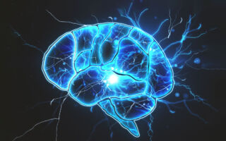 神经科学家分享3个健脑奇招 随时都能应用