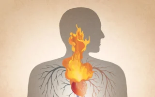 心脏与大脑会记下每一个愤怒的时刻