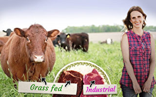 组图:护士辞职 为社区健康全职经营有机农场