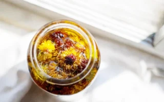 金盏花：用于皮肤口腔及癌症护理的古老疗方