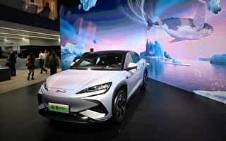 中国电动车市场开启生死赛 200家车厂混战